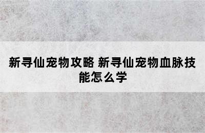 新寻仙宠物攻略 新寻仙宠物血脉技能怎么学